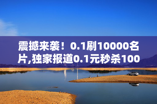 震撼来袭！0.1刷10000名片,独家报道0.1元秒杀10000名片 让你的品牌快速传播！